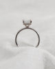 Cushion White Gold Lab Grown Solitaire (Hidden Halo) - Lester & Brown