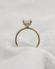 Cushion Yellow Gold Lab Grown Solitaire (Hidden Halo) - Lester & Brown