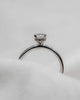 Oval Platinum Lab Grown Diamond Solitaire (Hidden Halo) - Lester & Brown