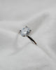 Oval Platinum Lab Grown Diamond Solitaire (Hidden Halo) - Lester & Brown