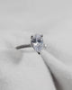 Pear 18K White Gold Lab Grown Diamond Set shoulders (Hidden Halo) - Lester & Brown