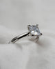 Princess Platinum Lab Grown Diamond Solitaire - Lester & Brown