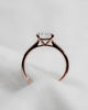 Princess Rose Lab Grown Diamond Solitaire - Lester & Brown
