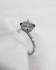 Round 18K White Gold Lab Grown Diamond Set Shoulders (Hidden Halo) - Lester & Brown