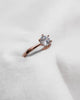 Round Rose Gold Lab Grown Diamond Solitaire - Lester & Brown