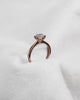 Round Rose Gold Lab Grown Diamond Solitaire - Lester & Brown