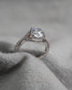 Round Platinum Lab Grown Diamond Set Shoulders