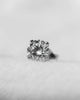Round Lab Grown Diamond Stud Earrings | Platinum Lester & Brown