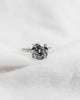 Round White Gold Lab Grown Diamond Set Shoulders