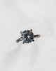 Round Platinum Lab Grown Solitaire (Hidden Halo)