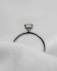 Oval Platinum Lab Grown Diamond Solitaire (Hidden Halo) My Store