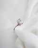 Oval Rose Gold Lab Grown Diamond Set Shoulders (Hidden Halo) - Lester & Brown