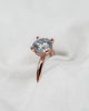 Round Rose Gold Lab Grown Solitaire (Hidden Halo) - Lester & Brown